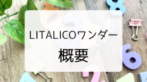 LITALICO（リタリコ）ワンダーの概要